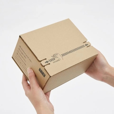 Kleines PLC-System Maschine digitaler Box CBMS Druckfür gewölbten Kasten