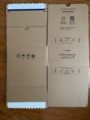 Reißverschluss-Verschiffen-Kasten-Maschine/gewölbter Kasten, der Maschine 60m/Min/Papierformat 250mm×250mm herstellt