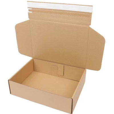 Falte des Karton-300g/M2 und kleben Maschine 60m/Min For Zipper Shipping Boxes